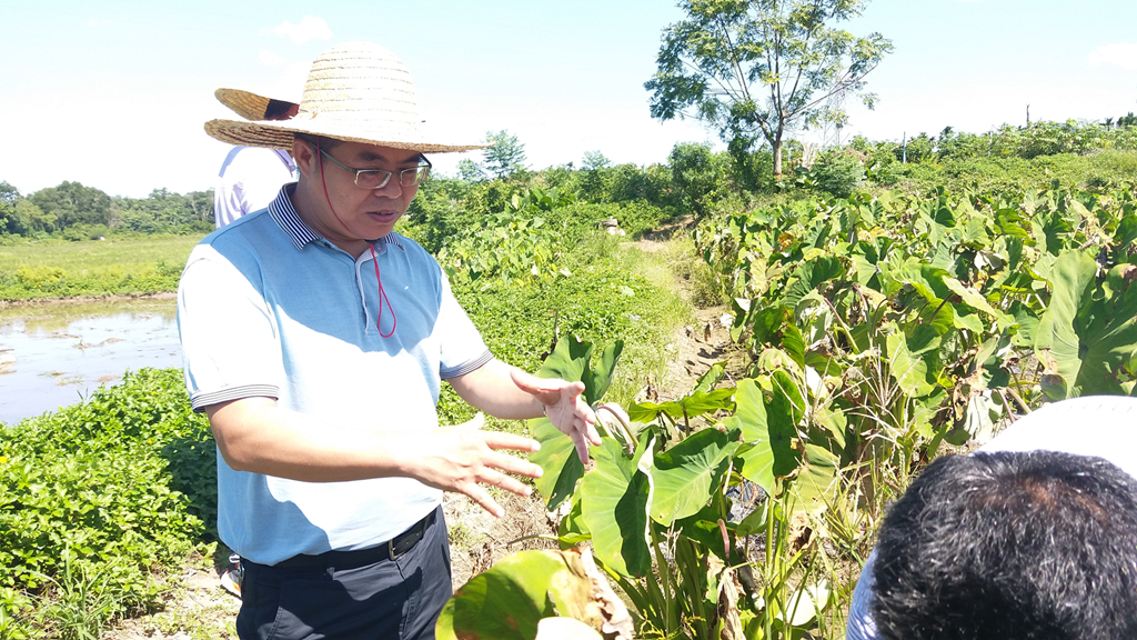 首页-PP视讯厅真人官方网站
