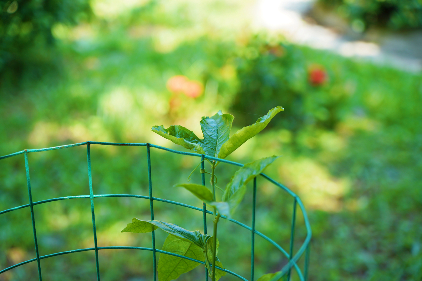 首页-PP视讯厅真人官方网站