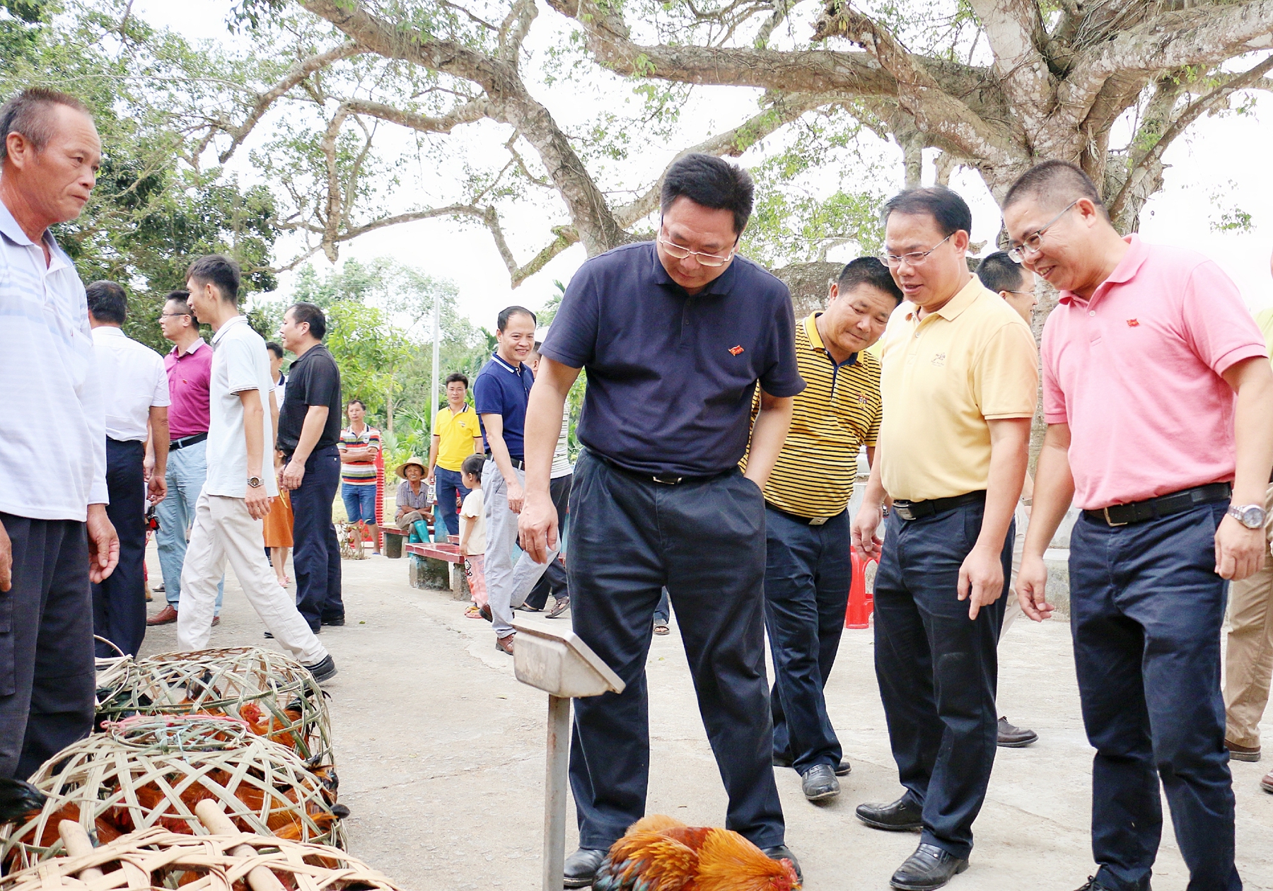 首页-PP视讯厅真人官方网站