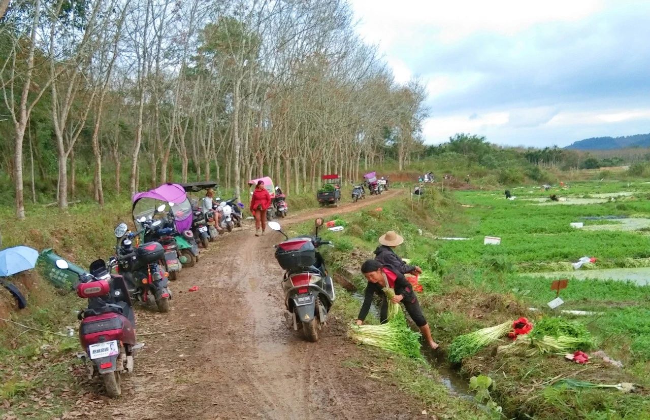 首页-PP视讯厅真人官方网站