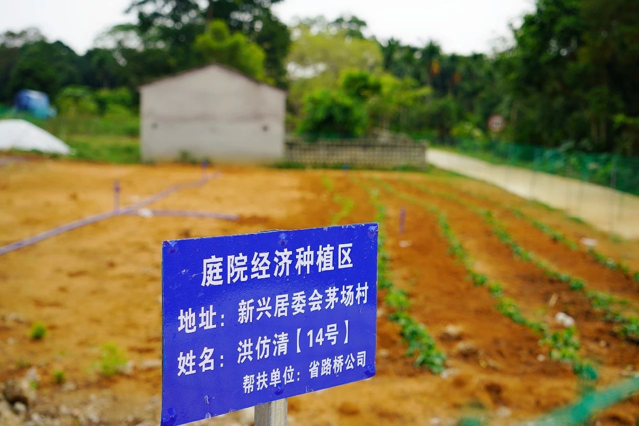 首页-PP视讯厅真人官方网站