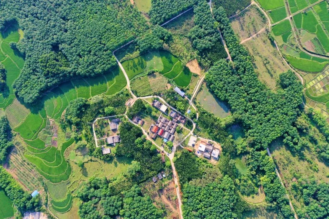 首页-PP视讯厅真人官方网站