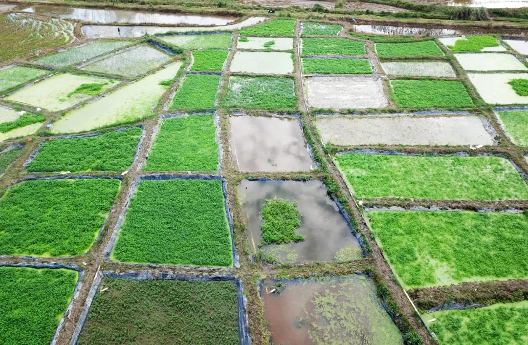 首页-PP视讯厅真人官方网站